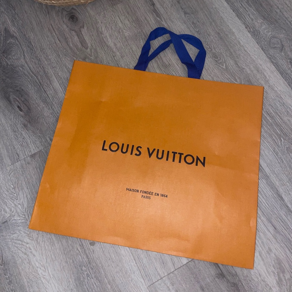 Louis Vuitton paper/tote bag